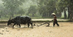 akal manusia