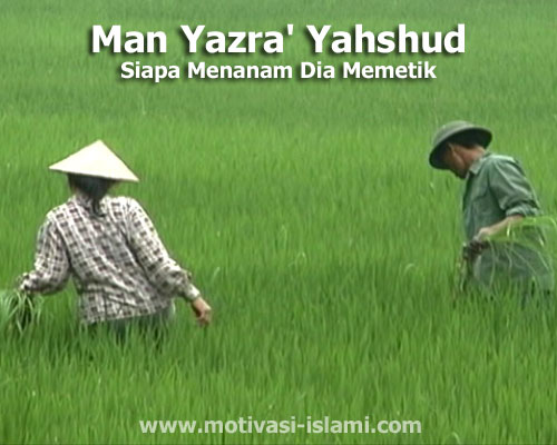 Man Yazra' Yahshud - Siapa Menanam Dia Memetik