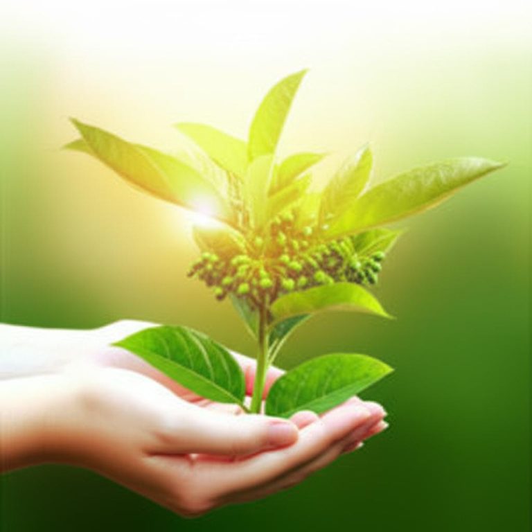 Cara Bersedekah yang Benar Agar Rezeki Bertambah: Investasi Terbaik Dunia Akhirat